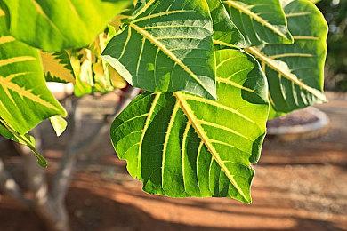 《军团要塞2》夏季更新推出 并发玩家数量创新高